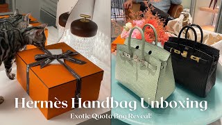 HERMÈS UNBOXING 2024 Exotic Quota Bag Reveal [upl. by Gottwald735]