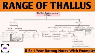 Algae  RANGE OF THALLUS  UNICELLULAR COLONIAL FILAMENTOUS PARENCHYMATOUS SIPHONACEOUS  ZBC [upl. by Katherin]