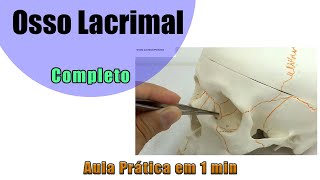 Osso Lacrimal  Prática Aula 2  Anatomia  Anatomia Humana [upl. by Karyn]