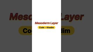 Mesoderm layer [upl. by Eboj]