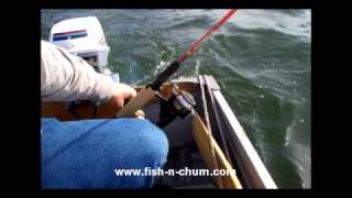 Fishnchum fishing rod  pole holder [upl. by Saihttam]