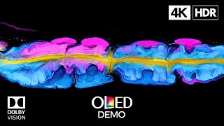 Vibrant OLED Demo 4K 60fps HDR Dolby Vision [upl. by Page]