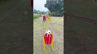 football accuracy and a whole lot of fun [upl. by Noiek]