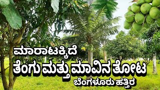 53 GUNTE COCONUT AND MANGO TREES FARM LAND SALE IN RAMANAGARA NEAR BENGALURU CHARAN 7338474634 [upl. by Reffineg]