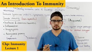 Innate vs adaptive immunity overview [upl. by Ahtiek281]