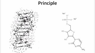 Ethanol Precipitaion of DNA [upl. by Natsirhc248]