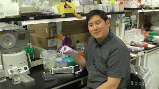 Next Generation Sequencing 3 Purifying DNA Samples with Magnetic Beads  Eric Chow UCSF [upl. by Dewitt]