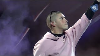 Bad Bunny en Viña 2019 [upl. by Ibib]