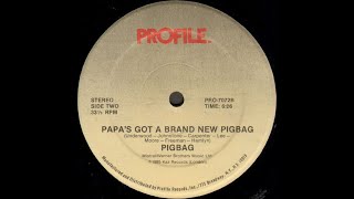 Pigbag  Papas Got A Brand New Pigbag Profile records 1985 [upl. by Retxab]