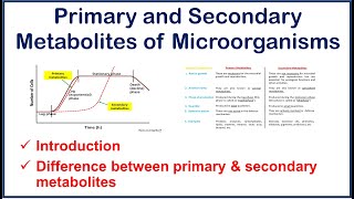 Primary and Secondary Metabolites of Microorganisms  Introduction  Differences between [upl. by Itra892]