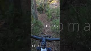 MTB TRAILS MILCA mtb mountain biking enduro [upl. by Glennon672]