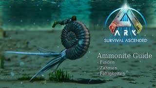 Ammonite Guide Deutsch No Untameables [upl. by Basilio863]