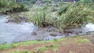 Wild Video Captures Swirling Sinkhole Devouring Mud and Grass [upl. by Beera353]