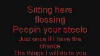 Ginuwine Pony Lyrics on screen [upl. by Zachery]