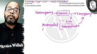 Dikaryophase  Dikaryon formation is a specific characteristic of  a All fungi b Phycomycet [upl. by Salohci]