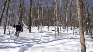 XCD Telemark Backcountry Skiing Secret Slopes Kingsmere Gatineau Park スキー Madshus Panorama M78 [upl. by Aillemac]