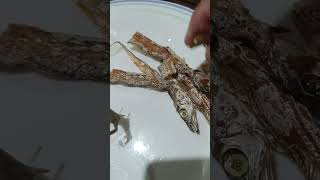 CUTLASS FISH  DIWIT recipe fish food [upl. by Arluene]