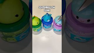 Squishmallow Slime Unboxing  Smells Like Candy [upl. by Ysied]