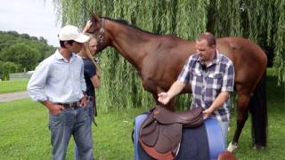 How to do a proper Saddle Fitting for you and your horse [upl. by Reinhart]