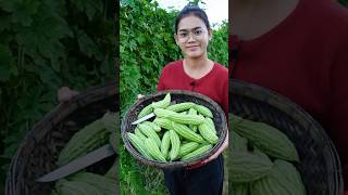 Cooking Bitter Melon with Pork for a Flavorful Meal by Country Chef BitterMelonRecipes BitterMelon [upl. by Fairweather]