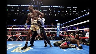 Deontay Wilder All Knockouts 390 [upl. by Allak589]