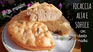 FOCACCIA ALTA E SOFFICE senza impasto Con lievito madre [upl. by Iinden468]