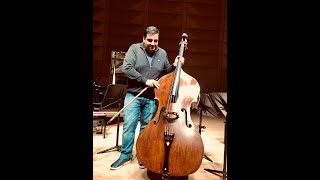 Maggini Doublebass  Dragonetti Waltz [upl. by Stoughton]