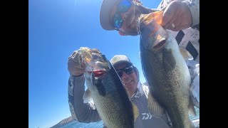 Clearlake Summertime Bass Fishing [upl. by Nohsyt]