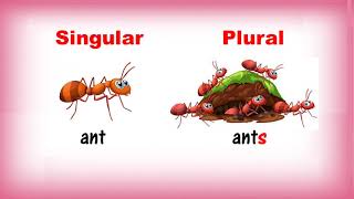 Singular and Plural Nouns  Class 1  CBSE [upl. by Omoj842]