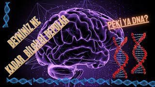 BEYNİNİZ NE KADAR BİLGİ DEPOLAYABİLİR PEKİ YA DNA [upl. by Underwood148]