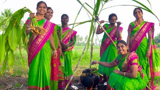 PONGAL CELEBRATION in Our Village  We celebrate Our Traditional Festival  Village Pongal Festival [upl. by Nuncia]