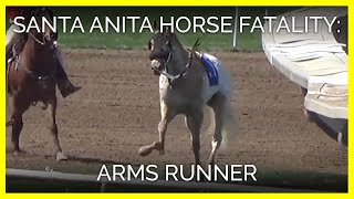 Horse fatality at Santa Anita  Arms Runner March 31 2019 [upl. by Hollinger]