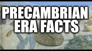 PreCambrian Era Facts – What do we know about PreCambrian Era [upl. by Liban]