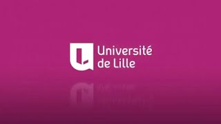 Présentation du Master Gestion de lInformation et du Document en Entreprise Université de Lille [upl. by Inge]