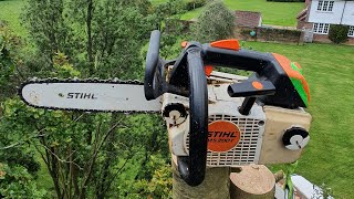 Small UK Conifer removal [upl. by Ardnuassak]