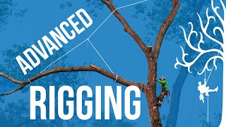 Advanced Rigging techniques over lines how to use GRCS for lifting branches Dangerous trees [upl. by Fogel]