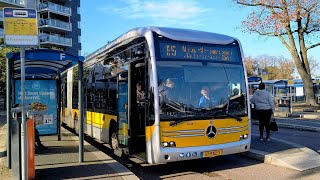 Qbuzz Streekbus 7538 als Lijn 95 naar Nieuw Schoonebeek Grens [upl. by Parker444]