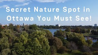 Exploring Ottawas Arboretum  Nature Walk in the Capital [upl. by Akimat532]