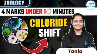 Understand Chloride Shift in Simple Terms  Get 4 Merks in NEET 2025 InfinityLearnNEET [upl. by Alidis]