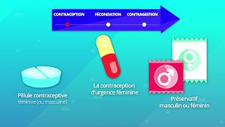 Hormones et procréation humaine SVT 2de [upl. by Reedy]