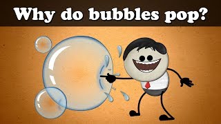 Why do bubbles pop  more videos  aumsum kids science education children [upl. by Nagol306]