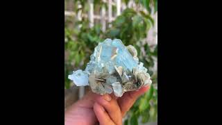 Blue AquamarineCrystals  MuscoviteMic  AquamarineSpecimen  FineMineral [upl. by Irak317]