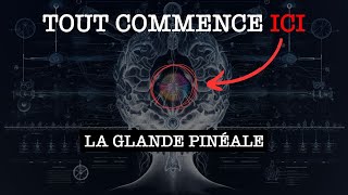 GLANDE PINÉALE  Explication Détaillée jaurais aimé savoir ça plus tôt [upl. by Hernardo]