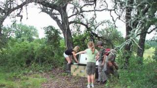 Wild Quail Release 070310 [upl. by Cott564]