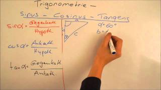 Trigonometrie  Sinus Cosinus Tangens  Lerntippsammlungde [upl. by Orly509]