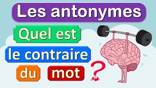 Le contraire des mots français  les antonymes [upl. by Anaihsat]