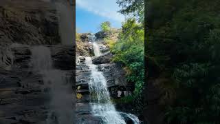 kerala waterfall weather godsowncountry trendingshorts shortsvideo munnar music rain water [upl. by Nahem]