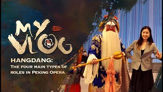 Hangdang：The four main types of roles in Peking Opera [upl. by Duomham989]