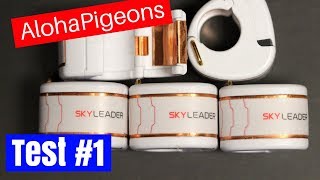 SKYLEADER GPS Homing Racing Pigeon Ring 1st Test [upl. by Surtemed]