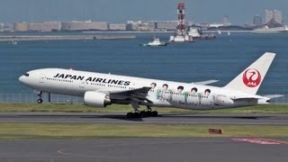 Wings of JAL Group  JALグループの翼たち  JAL日本航空 旅客機図鑑 [upl. by Aehtla]